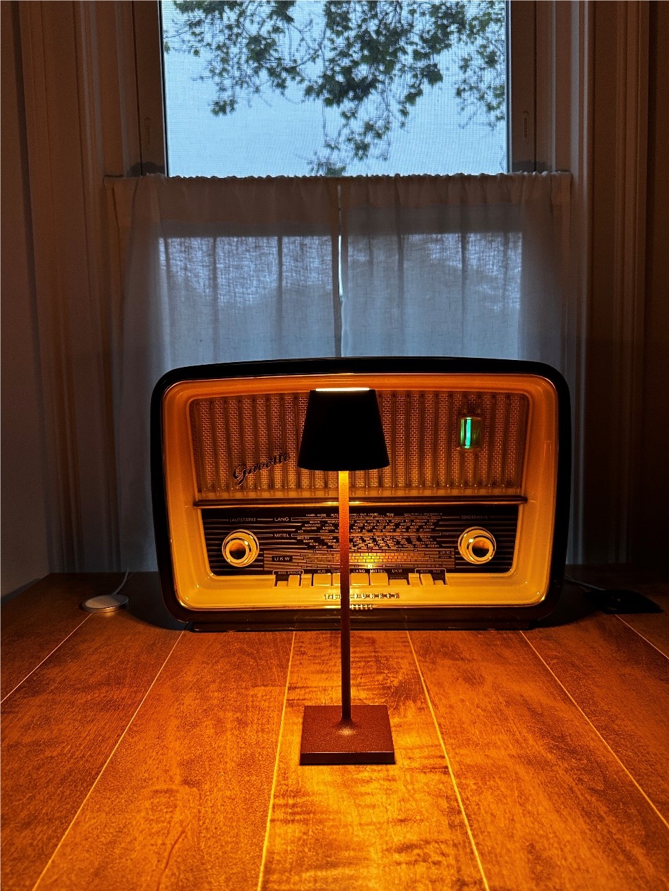 Jason's TELEFUNKEN GAVOTTE 1063