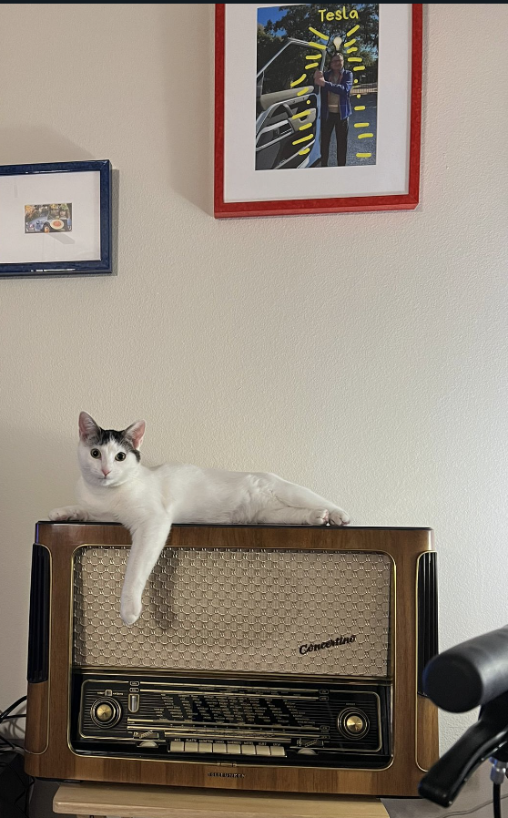 Andrea's TELEFUNKEN CONCERTINO 6