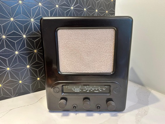 Evan's VE301DYN