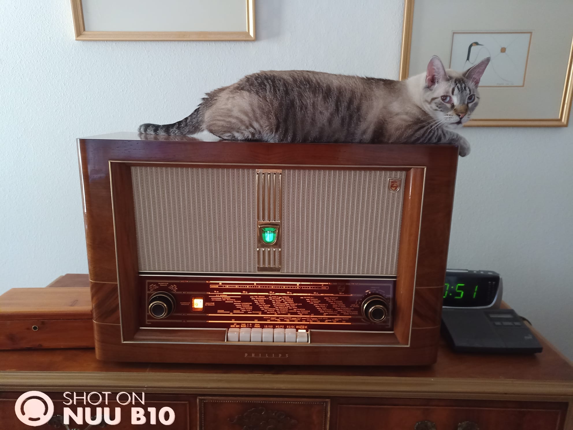 Sergio's PHILIPS BX740A