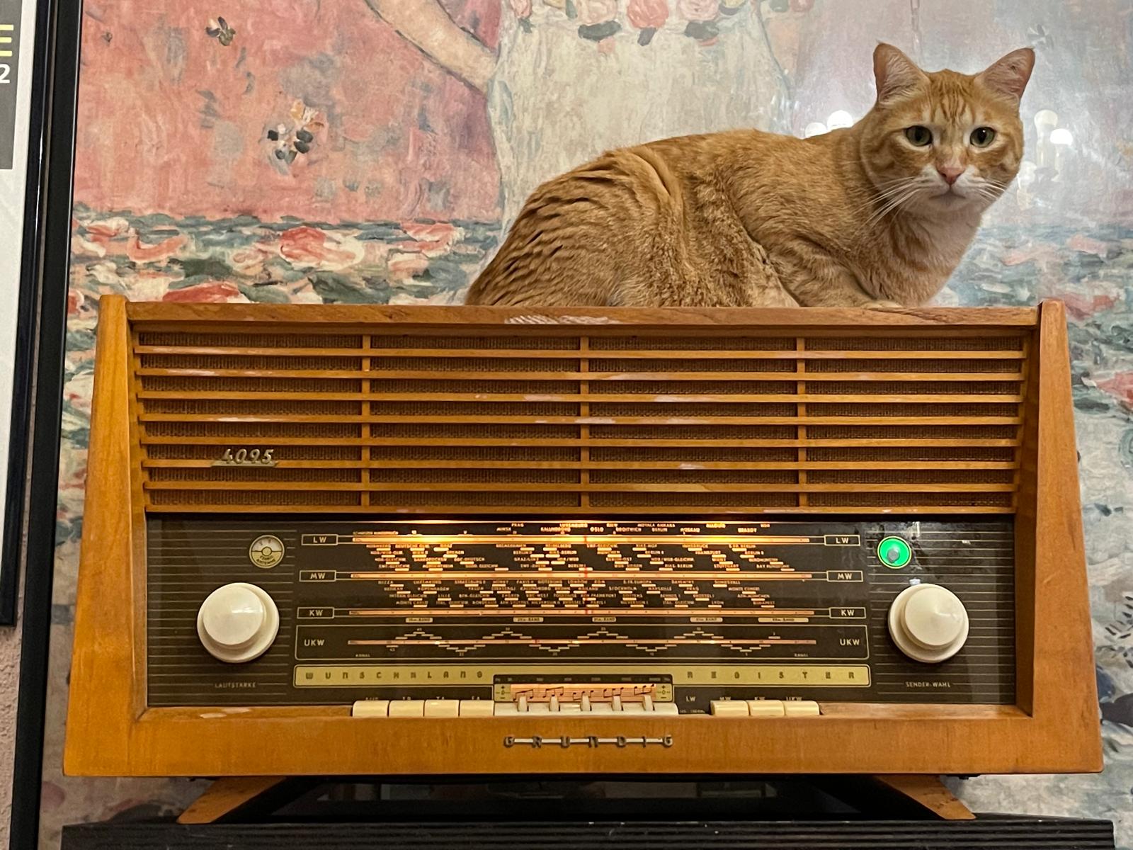 Ramonti's GRUNDIG 4095